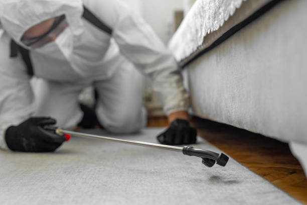 Professional Cockroach Control technician working in Bay Harbor Islands, FL