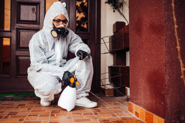 Reliable Cockroach Control contractor in Bay Harbor Islands, FL by Nex Pest Control